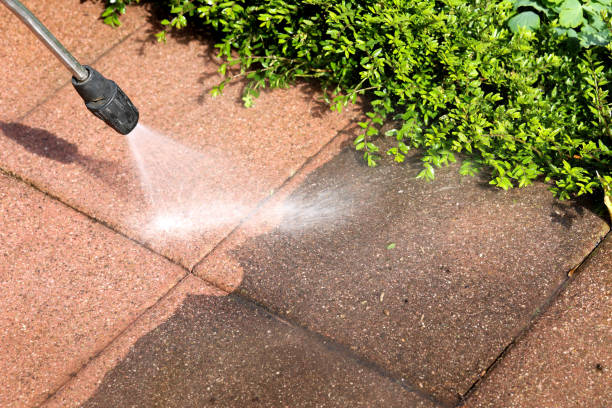 Best Pressure Washing Company Near Me  in Casa Grande, AZ