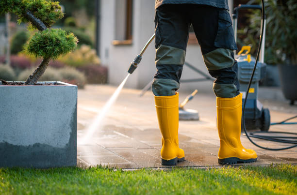 Best Power Washing Near Me  in Casa Grande, AZ